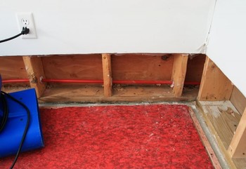 Basement Flood in Catalina, Arizona